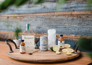 Gin and Tonic Cocktail Kit